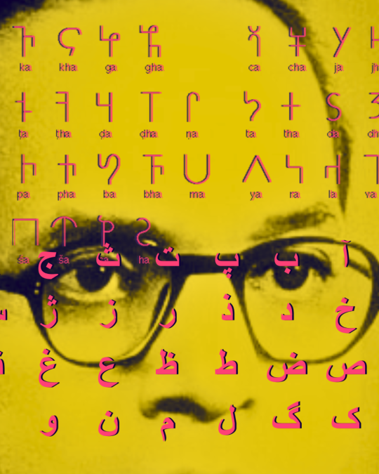 Master of Languages: The Polyglot in Dr. Ambedkar