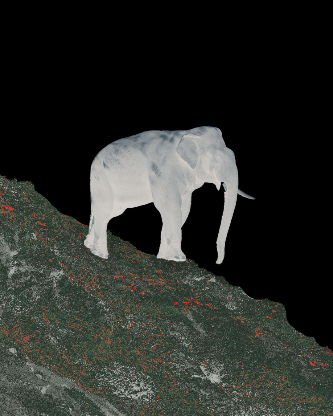 The Coming Down of the Elephant