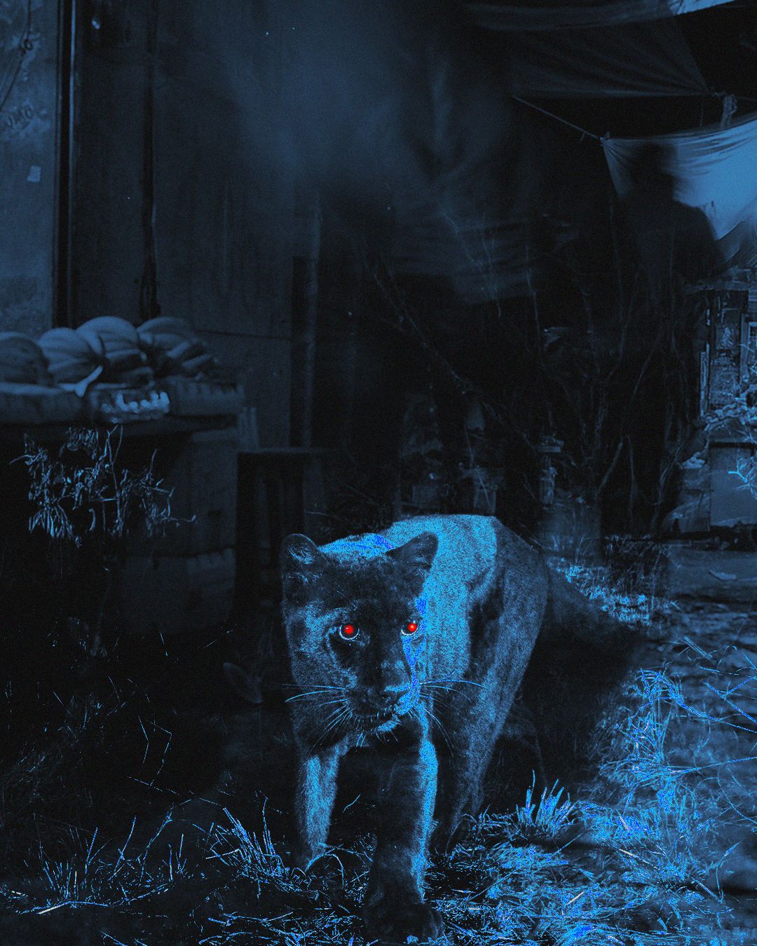 What Constitutes Nature in South Asia? A Caste-Critical Perspective